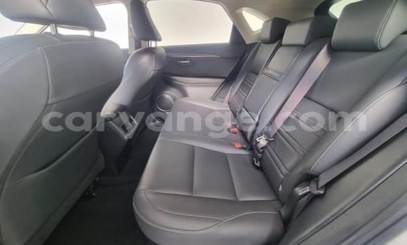 Acheter Occasion Voiture Lexus NX Blanc à Gobabis, Omaheke Acheter Occasion Voiture Lexus NX Blanc à Gobabis, Omaheke