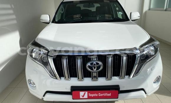 Buy Used Toyota Land Cruiser Prado White Car in Gobabis in Omaheke Buy Used Toyota Land Cruiser Prado White Car in Gobabis in Omaheke