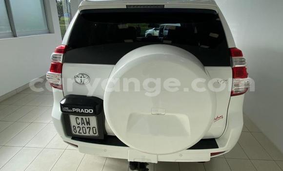 Buy Used Toyota Land Cruiser Prado White Car in Gobabis in Omaheke Buy Used Toyota Land Cruiser Prado White Car in Gobabis in Omaheke