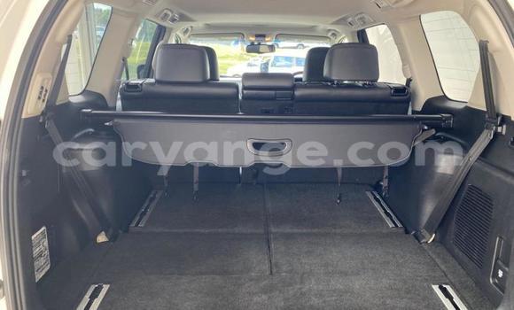 Buy Used Toyota Land Cruiser Prado White Car in Gobabis in Omaheke Buy Used Toyota Land Cruiser Prado White Car in Gobabis in Omaheke