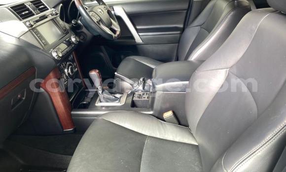 Buy Used Toyota Land Cruiser Prado White Car in Gobabis in Omaheke Buy Used Toyota Land Cruiser Prado White Car in Gobabis in Omaheke