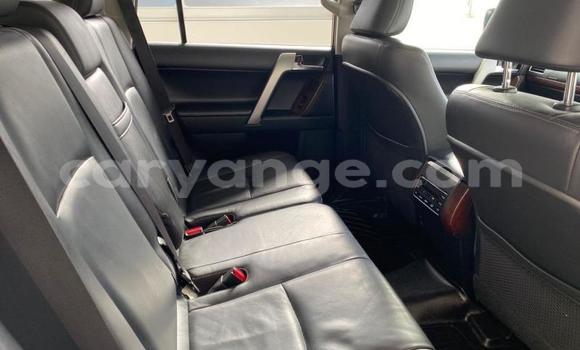 Buy Used Toyota Land Cruiser Prado White Car in Gobabis in Omaheke Buy Used Toyota Land Cruiser Prado White Car in Gobabis in Omaheke