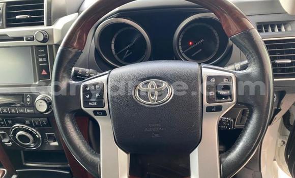 Buy Used Toyota Land Cruiser Prado White Car in Gobabis in Omaheke Buy Used Toyota Land Cruiser Prado White Car in Gobabis in Omaheke