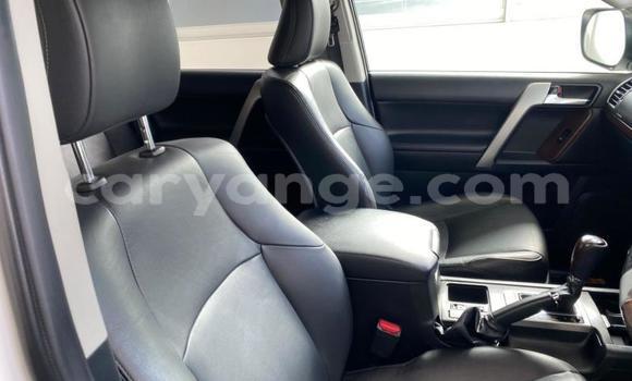 Buy Used Toyota Land Cruiser Prado White Car in Gobabis in Omaheke Buy Used Toyota Land Cruiser Prado White Car in Gobabis in Omaheke