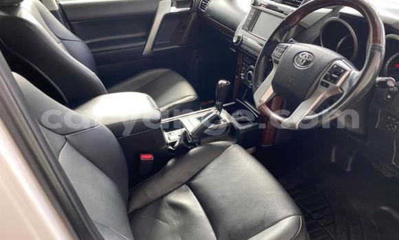 Buy Used Toyota Land Cruiser Prado White Car in Gobabis in Omaheke Buy Used Toyota Land Cruiser Prado White Car in Gobabis in Omaheke