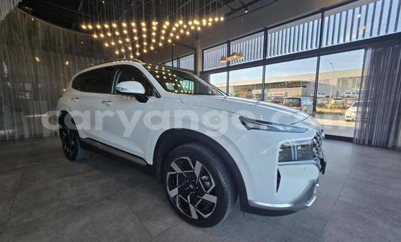 Buy Used Hyundai Santa Fe White Car in Gobabis in Omaheke Buy Used Hyundai Santa Fe White Car in Gobabis in Omaheke