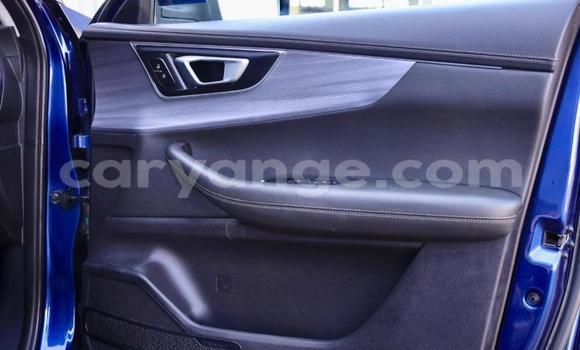 Buy Used Chery Tiggo 7 pro Blue Car in Gobabis in Omaheke Buy Used Chery Tiggo 7 pro Blue Car in Gobabis in Omaheke