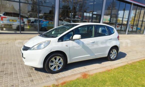 Buy Used Honda Jazz White Car in Windhoek in Namibia