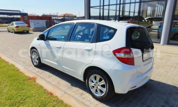 Buy Used Honda Jazz White Car in Windhoek in Namibia Buy Used Honda Jazz White Car in Windhoek in Namibia