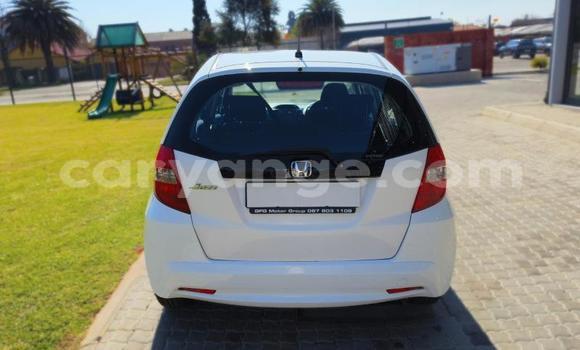 Buy Used Honda Jazz White Car in Windhoek in Namibia Buy Used Honda Jazz White Car in Windhoek in Namibia