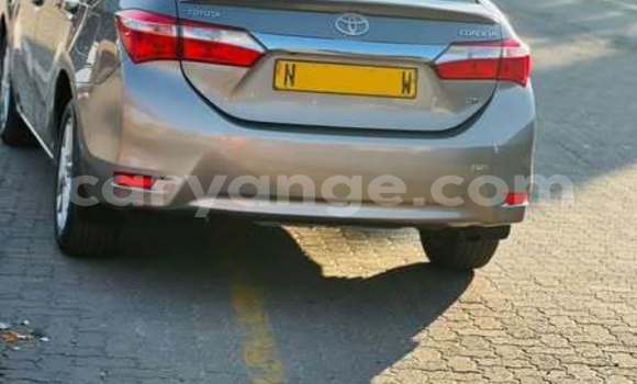 Acheter Occasion Voiture Toyota Corolla Autre à Windhoek, Namibie Acheter Occasion Voiture Toyota Corolla Autre à Windhoek, Namibie