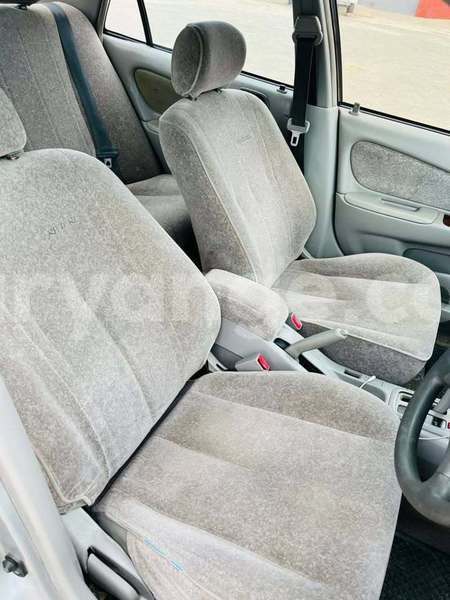 Big with watermark dacia dokker namibia windhoek 24409