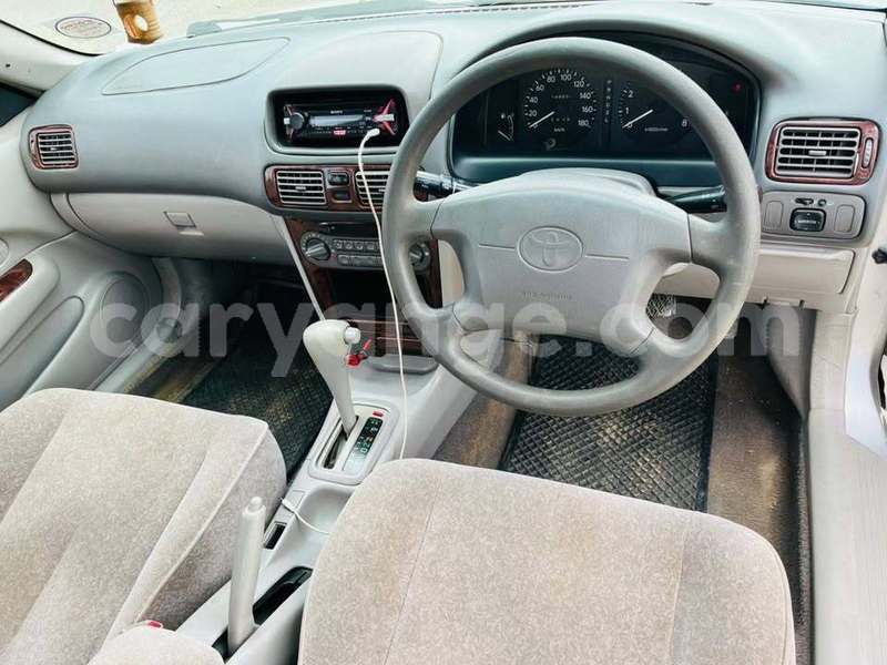 Big with watermark dacia dokker namibia windhoek 24409