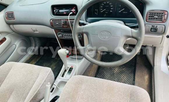 Buy Used Dacia Dokker Other Car in Windhoek in Namibia Buy Used Dacia Dokker Other Car in Windhoek in Namibia