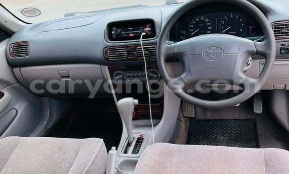 Buy Used Dacia Dokker Other Car in Windhoek in Namibia Buy Used Dacia Dokker Other Car in Windhoek in Namibia