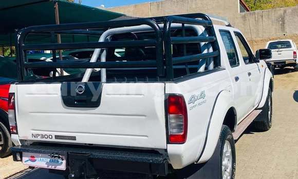 Buy Used Nissan NP 300 White Car in Windhoek in Namibia Buy Used Nissan NP 300 White Car in Windhoek in Namibia