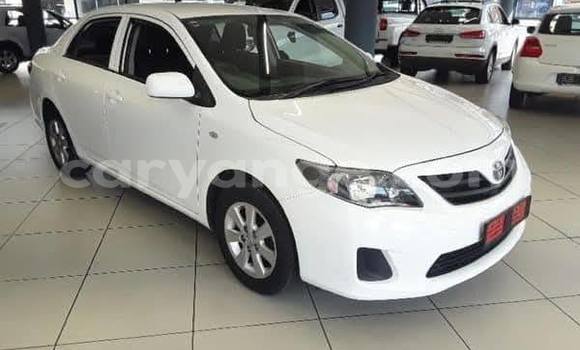 Buy Used Toyota Corolla Other Car in Windhoek in Namibia