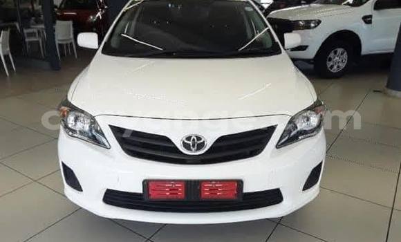 Buy Used Toyota Corolla Other Car in Windhoek in Namibia Buy Used Toyota Corolla Other Car in Windhoek in Namibia