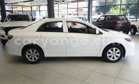 Buy Used Toyota Corolla Other Car in Windhoek in Namibia Buy Used Toyota Corolla Other Car in Windhoek in Namibia