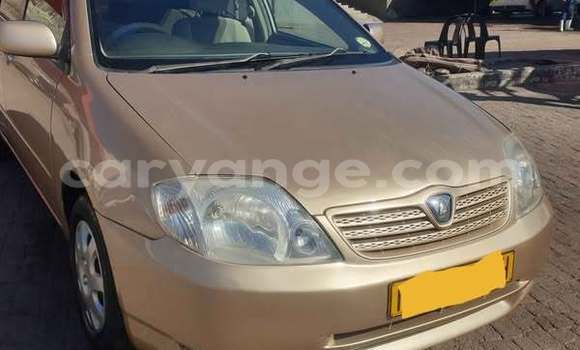 Buy Used Toyota Runx Other Car in Windhoek in Namibia Buy Used Toyota Runx Other Car in Windhoek in Namibia