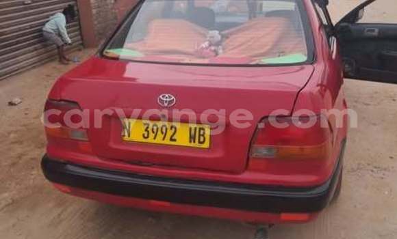 Buy Used Toyota Corolla Other Car in Windhoek in Namibia