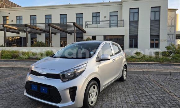 Acheter Occasion Voiture Kia Picanto Gris à Gobabis, Omaheke Acheter Occasion Voiture Kia Picanto Gris à Gobabis, Omaheke