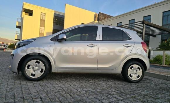 Acheter Occasion Voiture Kia Picanto Gris à Gobabis, Omaheke Acheter Occasion Voiture Kia Picanto Gris à Gobabis, Omaheke