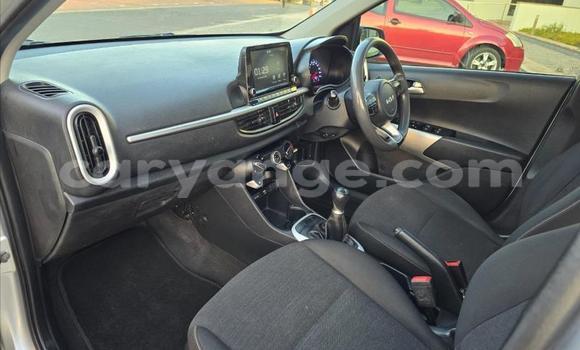 Acheter Occasion Voiture Kia Picanto Gris à Gobabis, Omaheke Acheter Occasion Voiture Kia Picanto Gris à Gobabis, Omaheke
