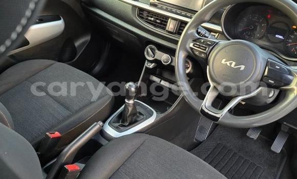 Acheter Occasion Voiture Kia Picanto Gris à Gobabis, Omaheke Acheter Occasion Voiture Kia Picanto Gris à Gobabis, Omaheke