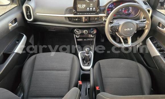 Acheter Occasion Voiture Kia Picanto Gris à Gobabis, Omaheke Acheter Occasion Voiture Kia Picanto Gris à Gobabis, Omaheke