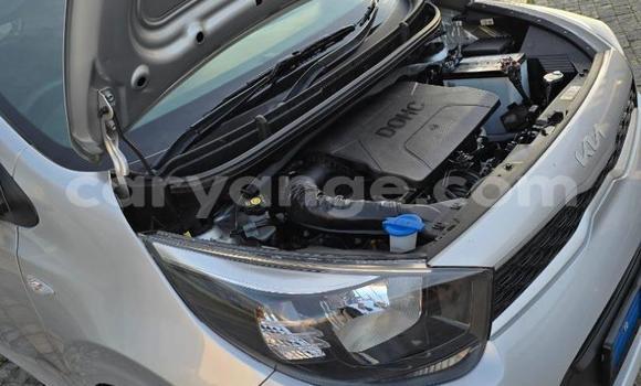 Acheter Occasion Voiture Kia Picanto Gris à Gobabis, Omaheke Acheter Occasion Voiture Kia Picanto Gris à Gobabis, Omaheke