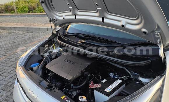 Acheter Occasion Voiture Kia Picanto Gris à Gobabis, Omaheke Acheter Occasion Voiture Kia Picanto Gris à Gobabis, Omaheke