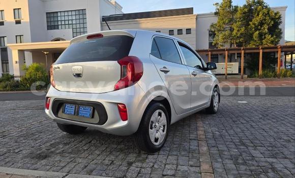 Acheter Occasion Voiture Kia Picanto Gris à Gobabis, Omaheke Acheter Occasion Voiture Kia Picanto Gris à Gobabis, Omaheke