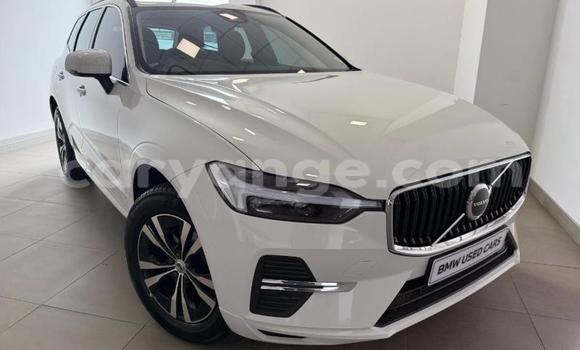 Buy Used Volvo XC60 White Car in Gobabis in Omaheke Buy Used Volvo XC60 White Car in Gobabis in Omaheke