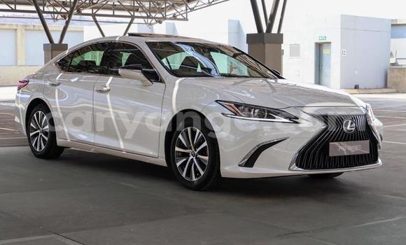 Buy Used Lexus ES White Car in Gobabis in Omaheke