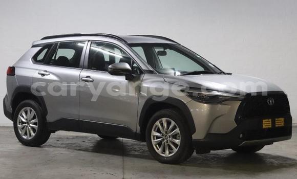 Acheter Occasion Voiture Toyota Corolla Cross Gris à Gobabis, Omaheke Acheter Occasion Voiture Toyota Corolla Cross Gris à Gobabis, Omaheke