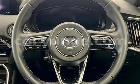Acheter Occasion Voiture Mazda CX–9 Gris à Gobabis, Omaheke Acheter Occasion Voiture Mazda CX–9 Gris à Gobabis, Omaheke