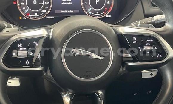 Acheter Occasion Voiture Jaguar E-Pace Rouge à Gobabis, Omaheke Acheter Occasion Voiture Jaguar E-Pace Rouge à Gobabis, Omaheke