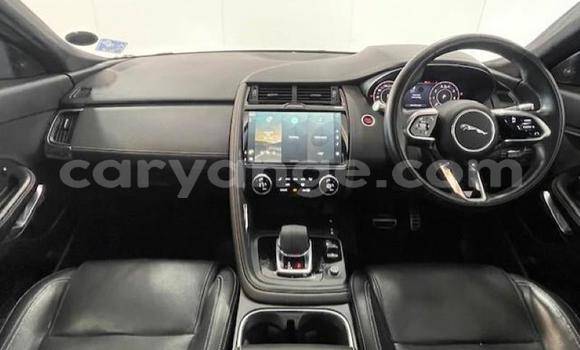Acheter Occasion Voiture Jaguar E-Pace Rouge à Gobabis, Omaheke Acheter Occasion Voiture Jaguar E-Pace Rouge à Gobabis, Omaheke