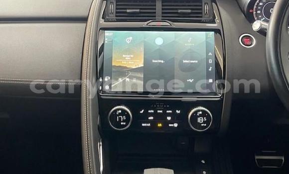 Acheter Occasion Voiture Jaguar E-Pace Rouge à Gobabis, Omaheke Acheter Occasion Voiture Jaguar E-Pace Rouge à Gobabis, Omaheke