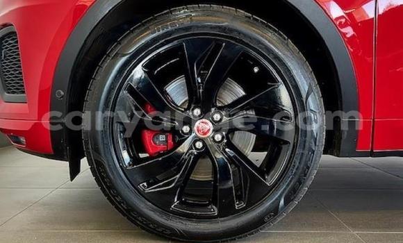 Acheter Occasion Voiture Jaguar E-Pace Rouge à Gobabis, Omaheke Acheter Occasion Voiture Jaguar E-Pace Rouge à Gobabis, Omaheke