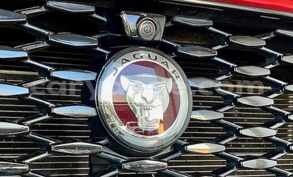 Acheter Occasion Voiture Jaguar E-Pace Rouge à Gobabis, Omaheke Acheter Occasion Voiture Jaguar E-Pace Rouge à Gobabis, Omaheke