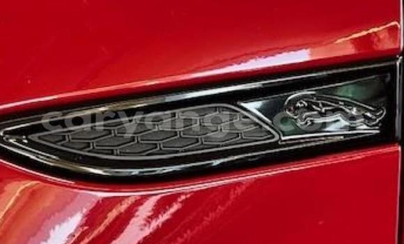 Acheter Occasion Voiture Jaguar E-Pace Rouge à Gobabis, Omaheke Acheter Occasion Voiture Jaguar E-Pace Rouge à Gobabis, Omaheke