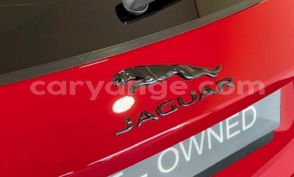 Acheter Occasion Voiture Jaguar E-Pace Rouge à Gobabis, Omaheke Acheter Occasion Voiture Jaguar E-Pace Rouge à Gobabis, Omaheke