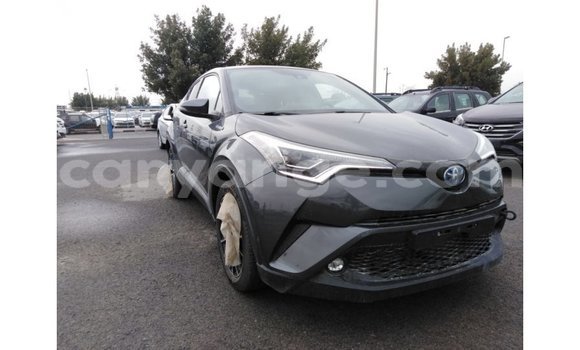 Buy Import Toyota C-HR Other Car in Import - Dubai in Namibia Buy Import Toyota C-HR Other Car in Import - Dubai in Namibia