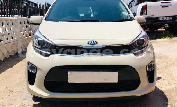 Buy Used Kia Picanto White Car in Gobabis in Omaheke