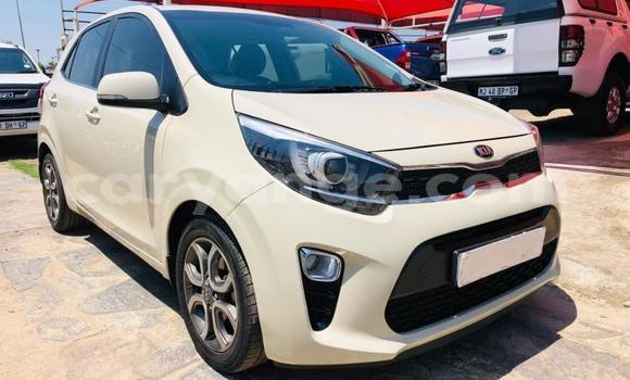 Buy Used Kia Picanto White Car in Gobabis in Omaheke Buy Used Kia Picanto White Car in Gobabis in Omaheke