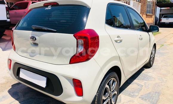 Buy Used Kia Picanto White Car in Gobabis in Omaheke Buy Used Kia Picanto White Car in Gobabis in Omaheke