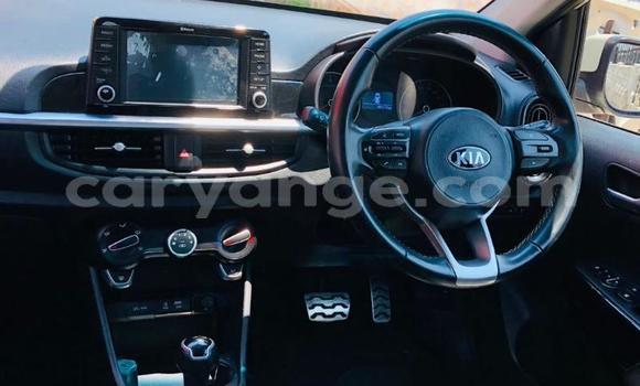 Buy Used Kia Picanto White Car in Gobabis in Omaheke Buy Used Kia Picanto White Car in Gobabis in Omaheke