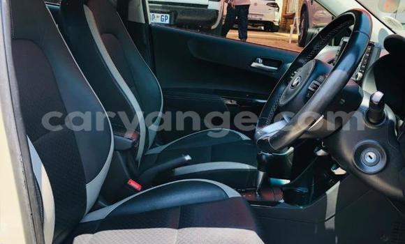 Buy Used Kia Picanto White Car in Gobabis in Omaheke Buy Used Kia Picanto White Car in Gobabis in Omaheke